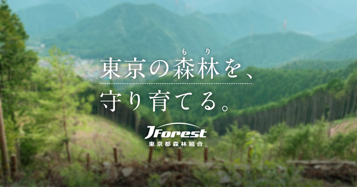 森林を育てる | 東京都森林組合